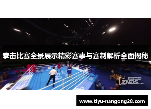 拳击比赛全景展示精彩赛事与赛制解析全面揭秘