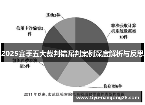 2025赛季五大裁判错漏判案例深度解析与反思