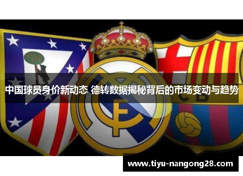 中国球员身价新动态 德转数据揭秘背后的市场变动与趋势