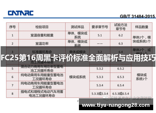FC25第16周黑卡评价标准全面解析与应用技巧
