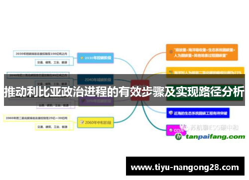 推动利比亚政治进程的有效步骤及实现路径分析