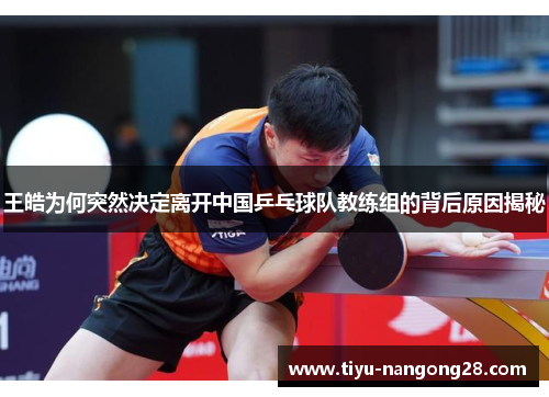 王皓为何突然决定离开中国乒乓球队教练组的背后原因揭秘